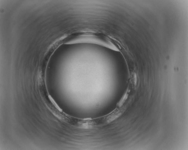 X0000081560564200701151149