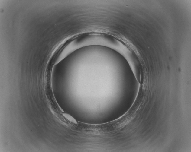 X0000081560580200701151149