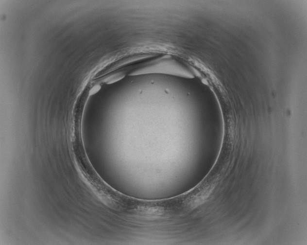 X0000081560582200701151149