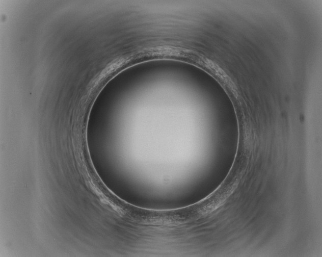 X0000081560625200701151147