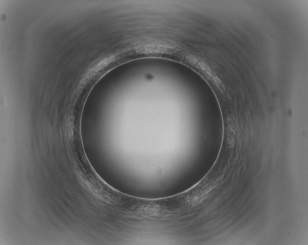 X0000081560631200701151147