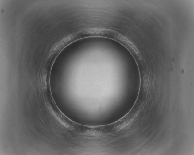 X0000081560633200701151147