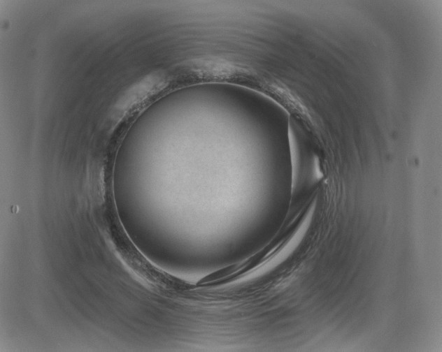 X0000081560638200701151148