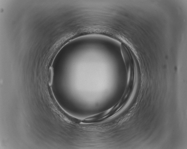 X0000081560673200701151147