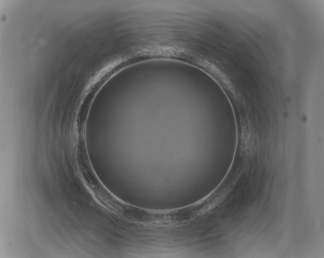 X0000081560674200701151147