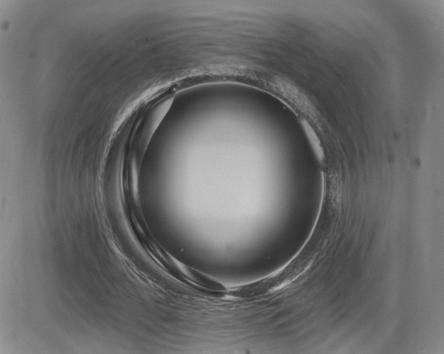 X0000081560676200701151147