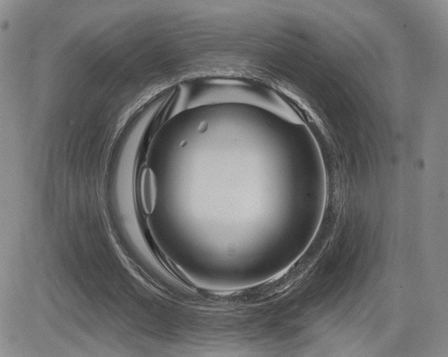 X0000081560677200701151147