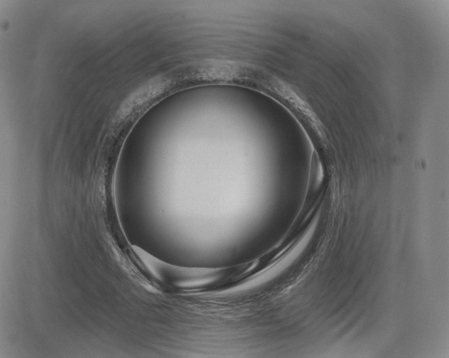 X0000081560681200701151147