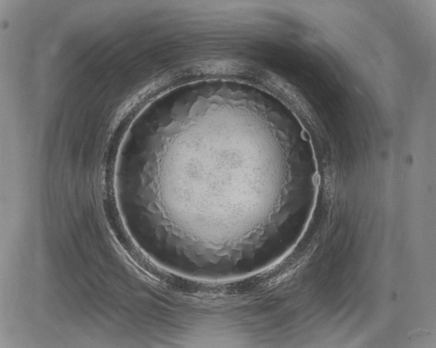 X0000081560725200701151146