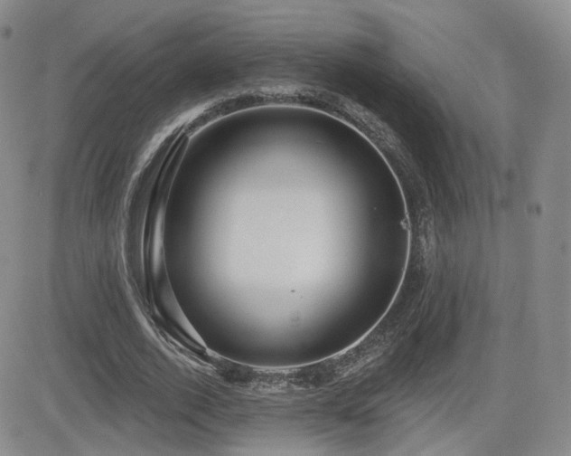 X0000081560728200701151146