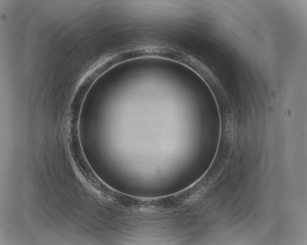 X0000081560730200701151146