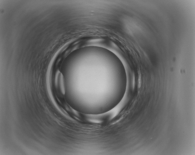 X0000081560750200701151146