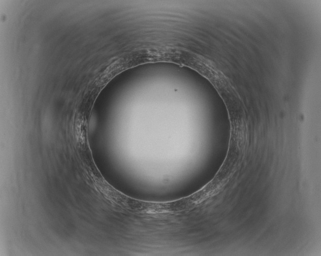 X0000081560770200701151146