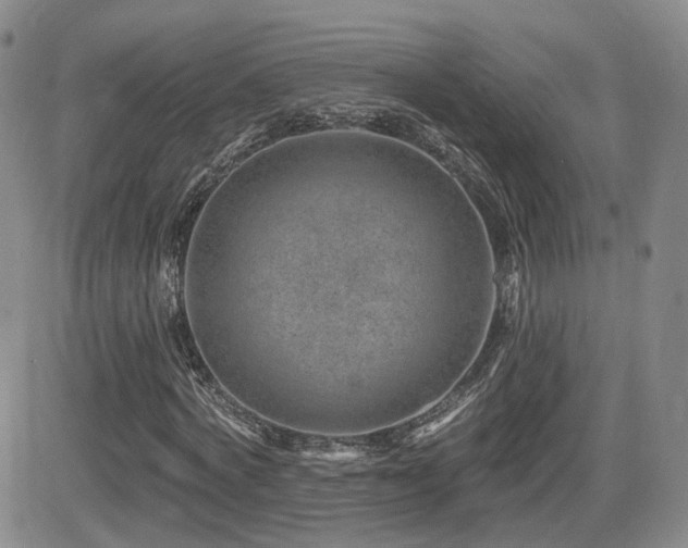 X0000081560772200701151146