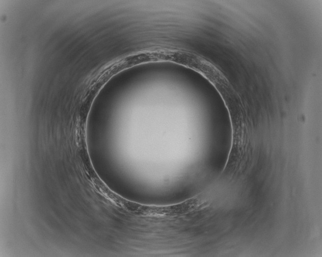 X0000081560773200701151146