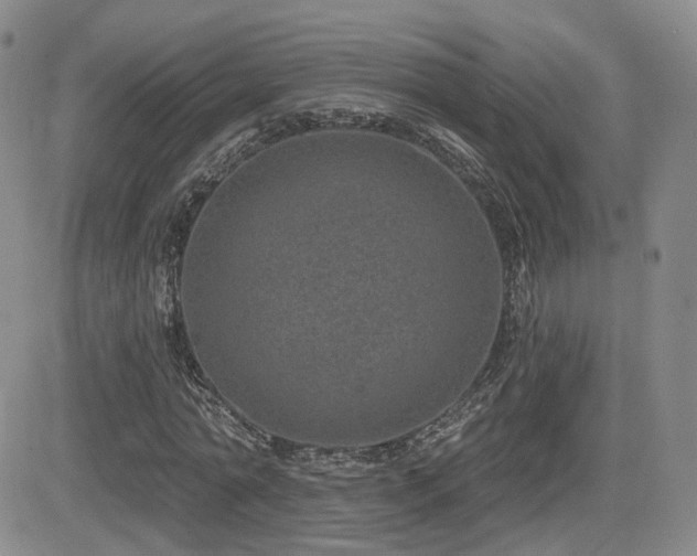 X0000081560774200701151146
