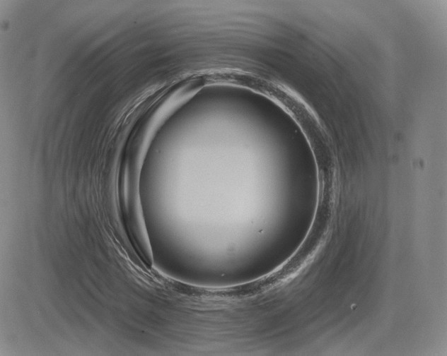 X0000081560777200701151146