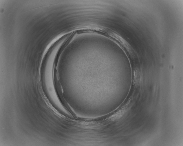 X0000081560780200701151146