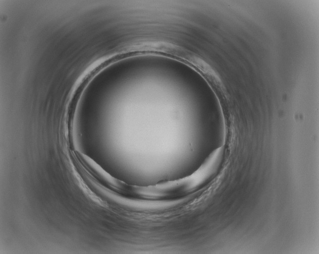 X0000081560792200701151145