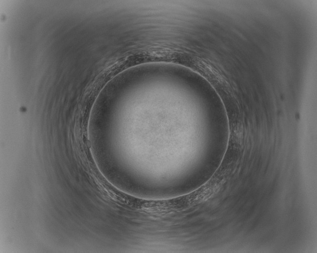 X0000081560817200701151144