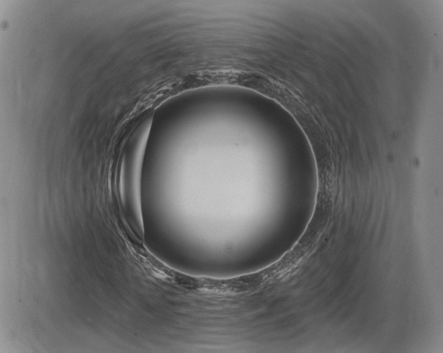 X0000081560818200701151144
