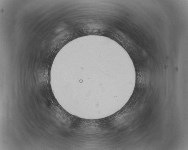 X0000081560820200701151144