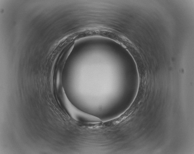 X0000081560822200701151144