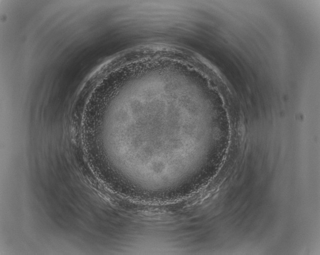 X0000081560823200701151144