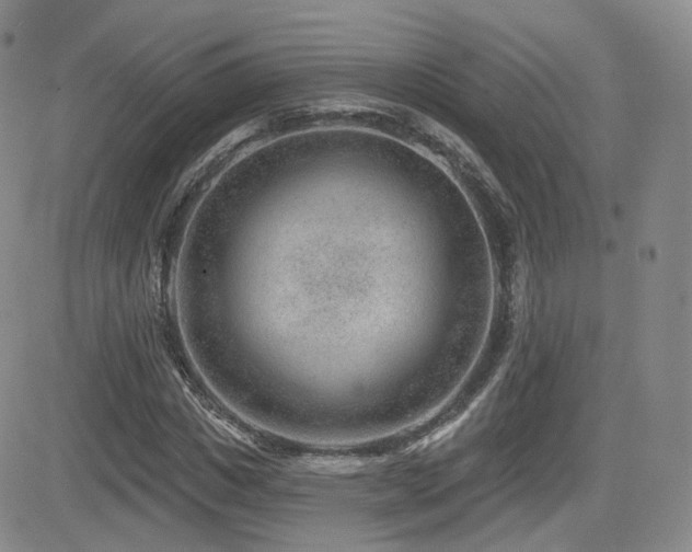 X0000081560825200701151144