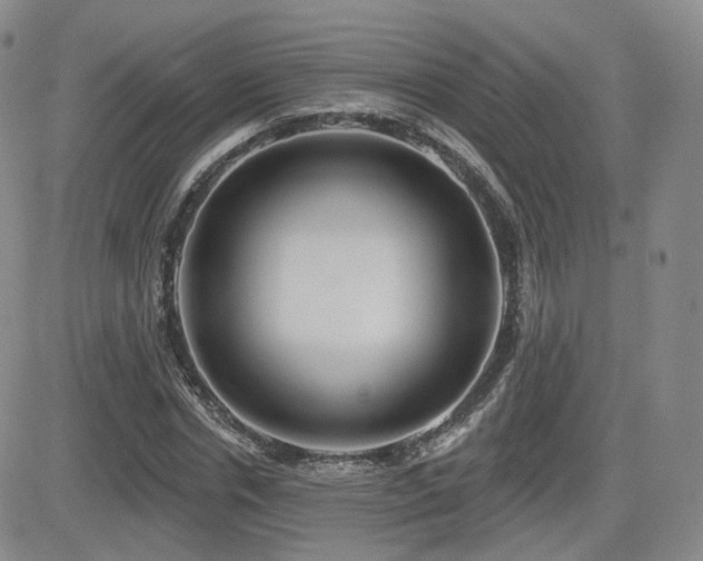X0000081560826200701151144