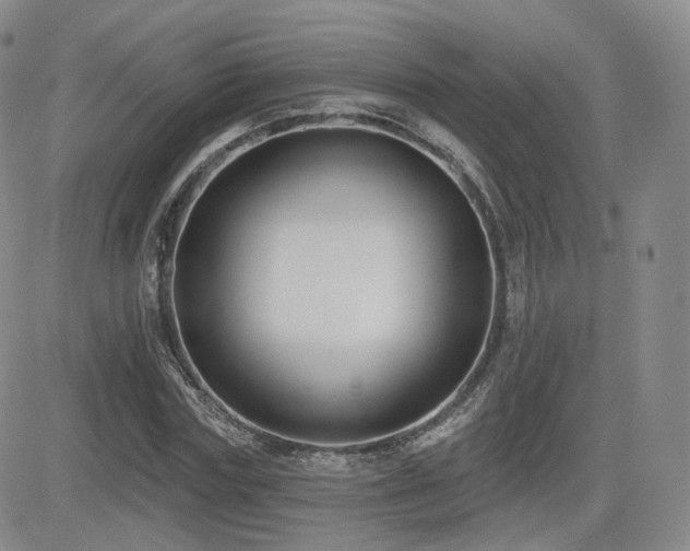 X0000081560827200701151144