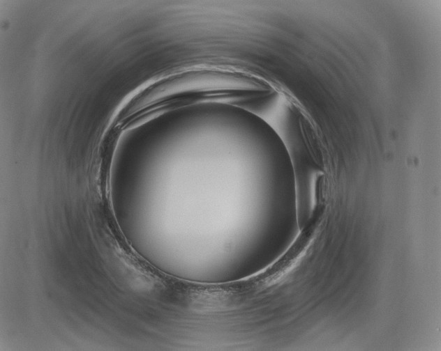 X0000081560830200701151144