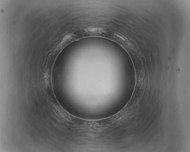 X0000081560866200701151144