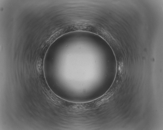 X0000081560867200701151144