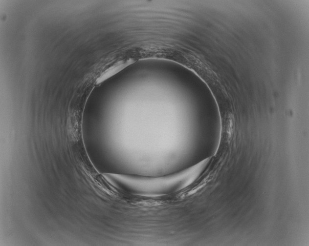 X0000081560868200701151144