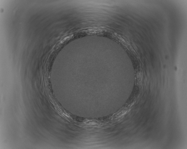 X0000081560913200701151143