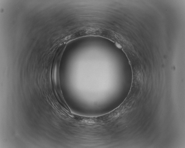 X0000081560914200701151143