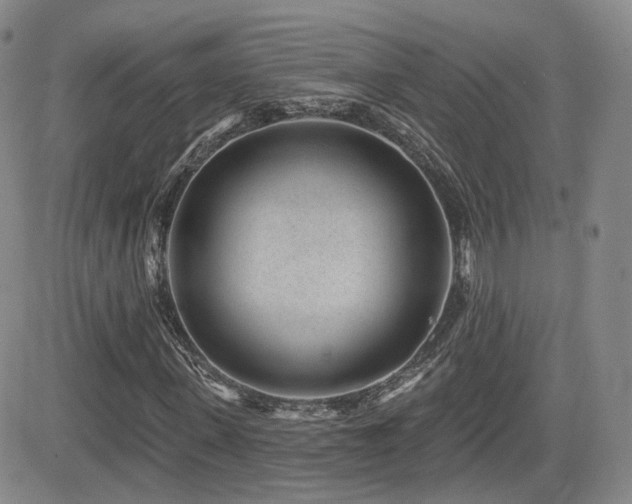 X0000081560915200701151143