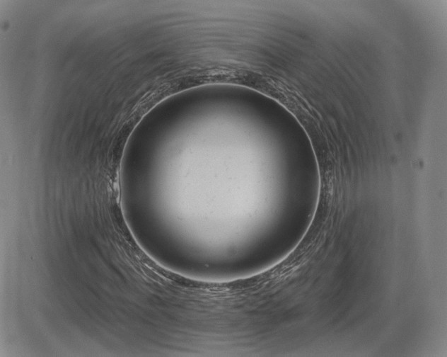 X0000081560916200701151143