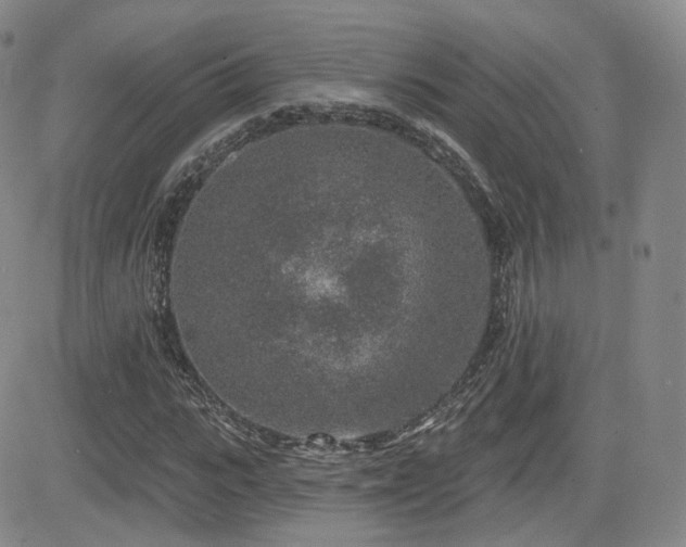 X0000081560919200701151143