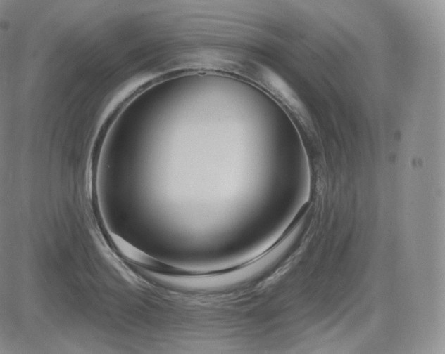 X0000081560940200701151143