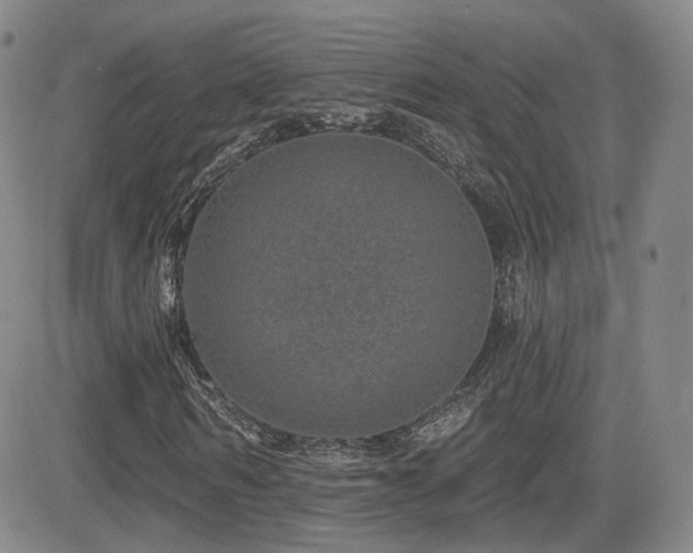 X0000081560962200701151143