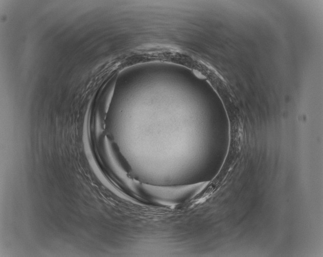 X0000081560965200701151142
