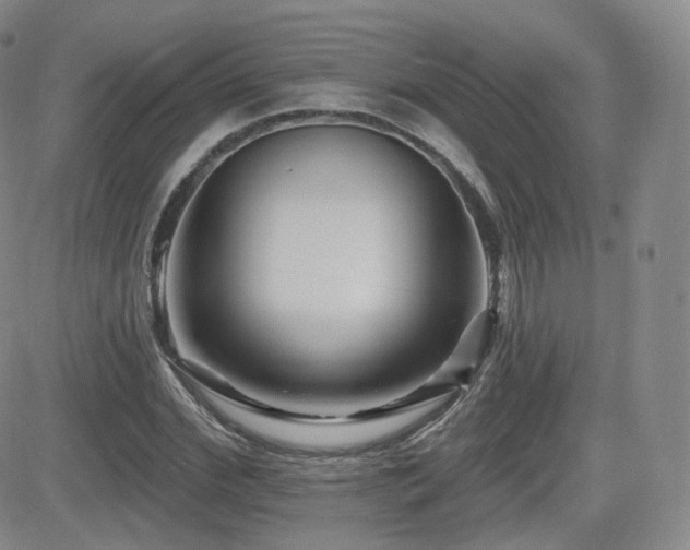 X0000081560972200701151142
