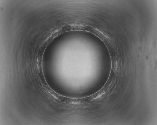 X0000081561010200701151141