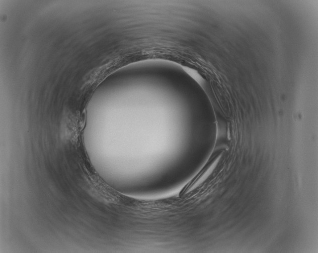X0000081561012200701151141