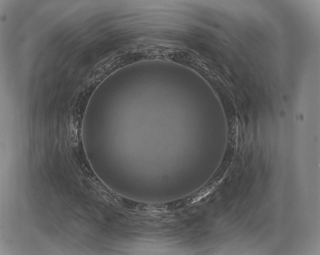 X0000081561013200701151141