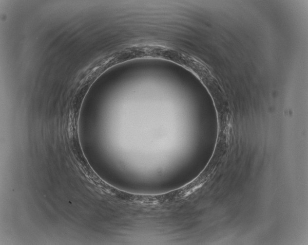 X0000081561014200701151141