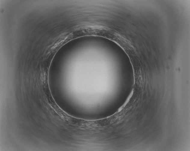 X0000081561061200701151141