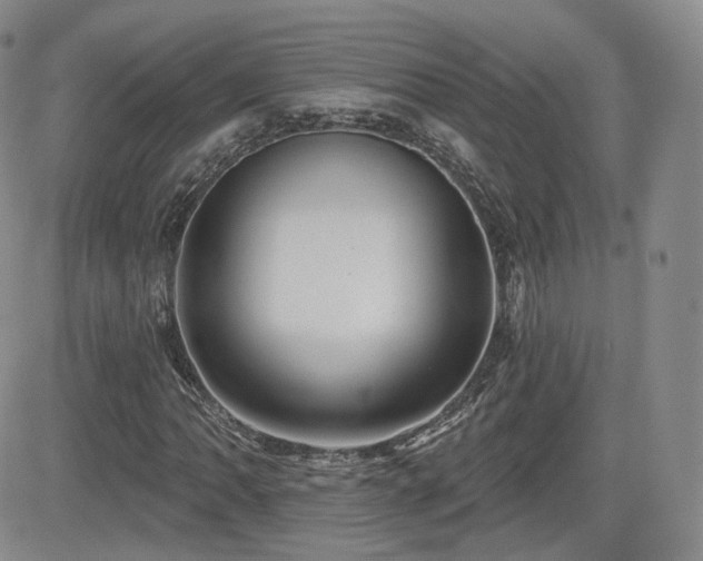X0000081561062200701151141